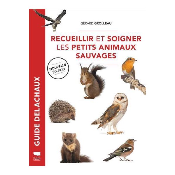 Recueillir et soigner les petits animaux sauvages