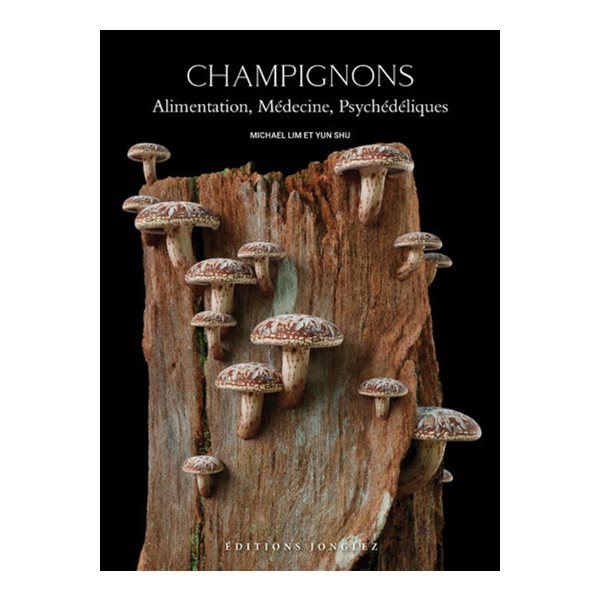 Champignons : alimentation, médecine, psychédéliques