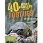40 idées fausses sur les tortues