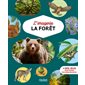 La forêt