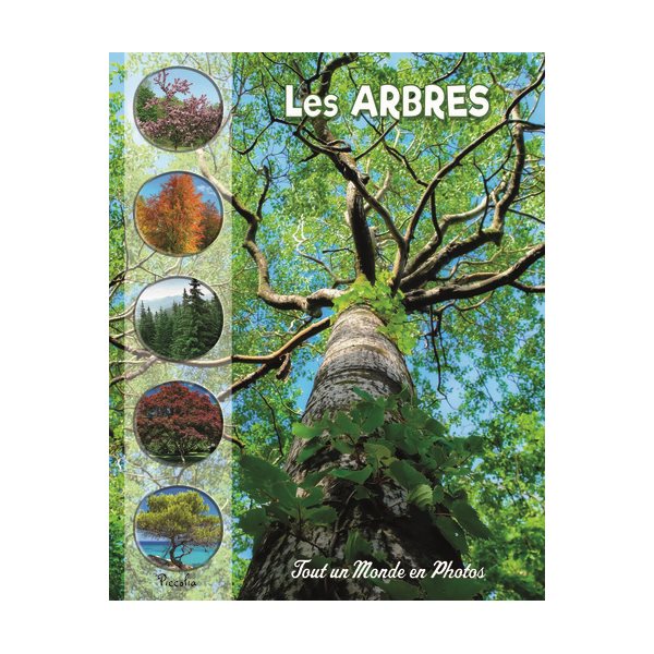 Les arbres