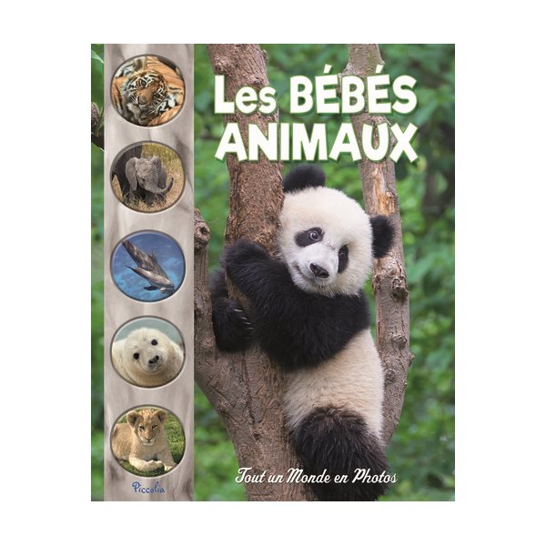 Les bébés animaux