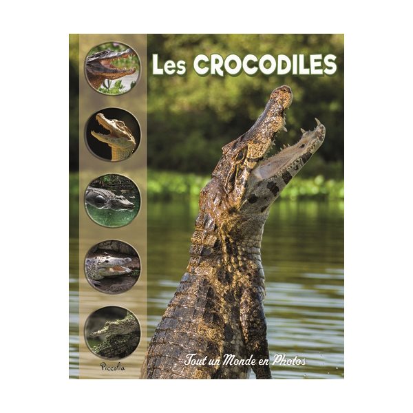 Les crocodiles et autres crocodiliens