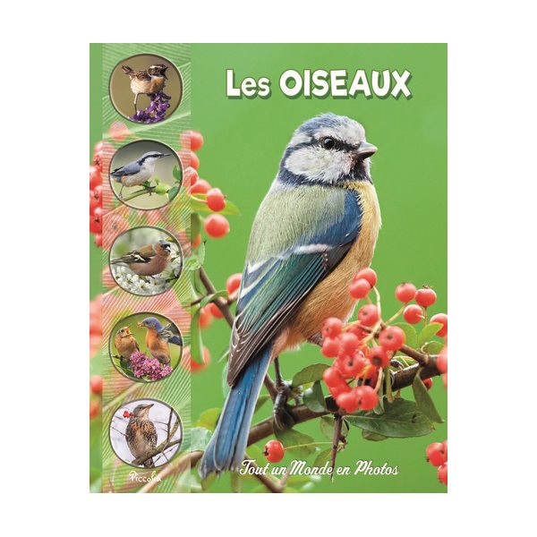 Les oiseaux