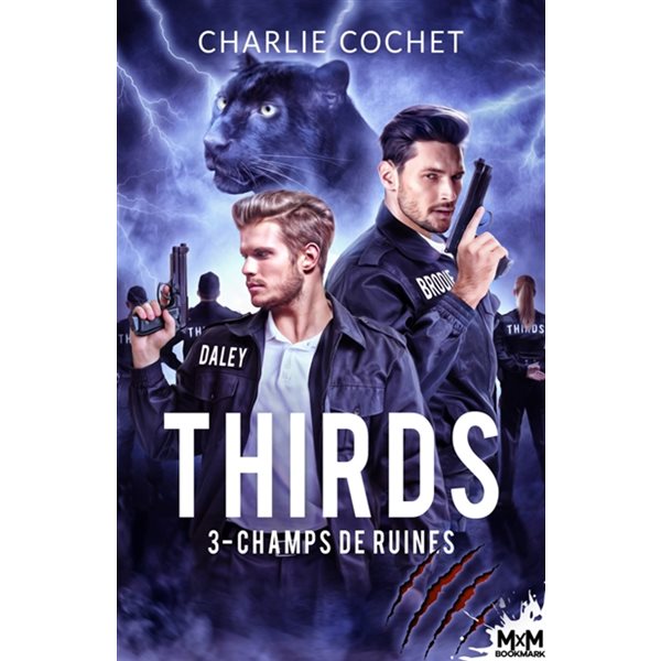 Champs de ruines : Thirds, T3