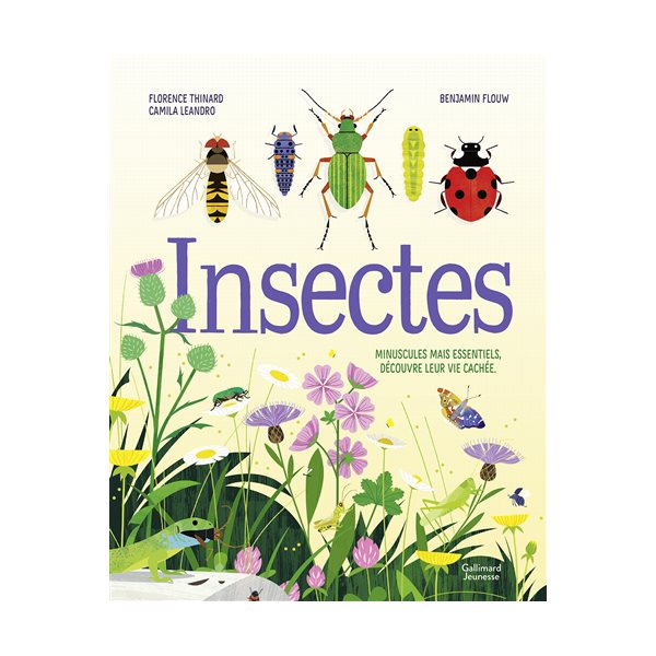 Insectes : minuscules mais essentiels, découvre leur vie cachée