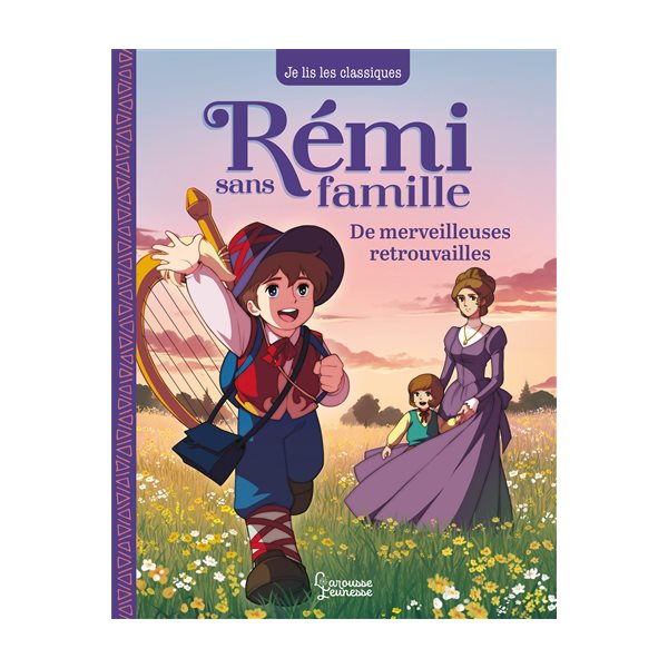 De merveilleuses retrouvailles, Tome 3, Rémi sans famille