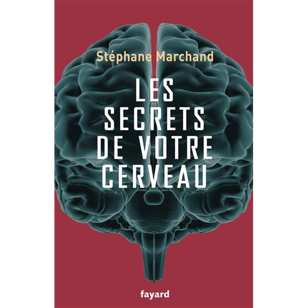 Les secrets de votre cerveau