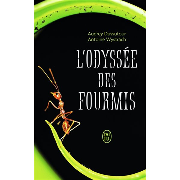 L'odyssée des fourmis