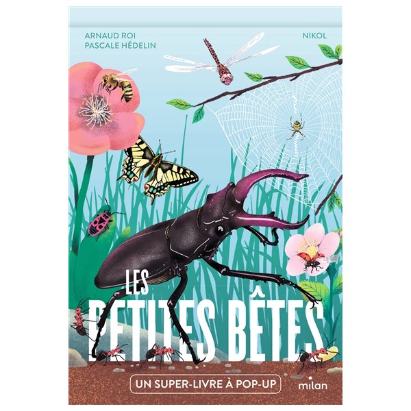 Les petites bêtes : un super livre à pop-up