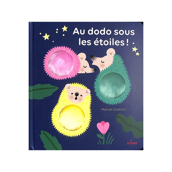 Au dodo sous les étoiles !