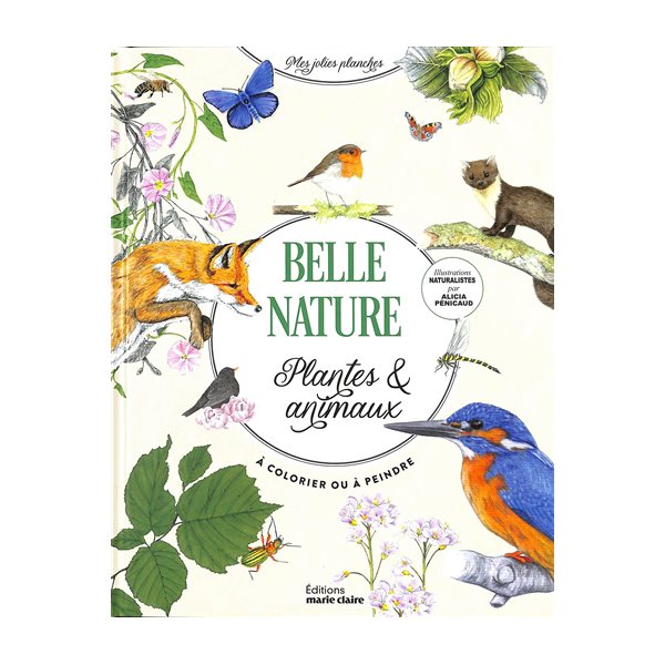 Belle nature : plantes & animaux à colorier ou à peindre, Mes jolies planches