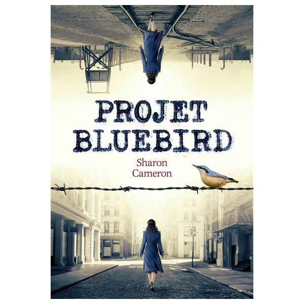 Projet Bluebird