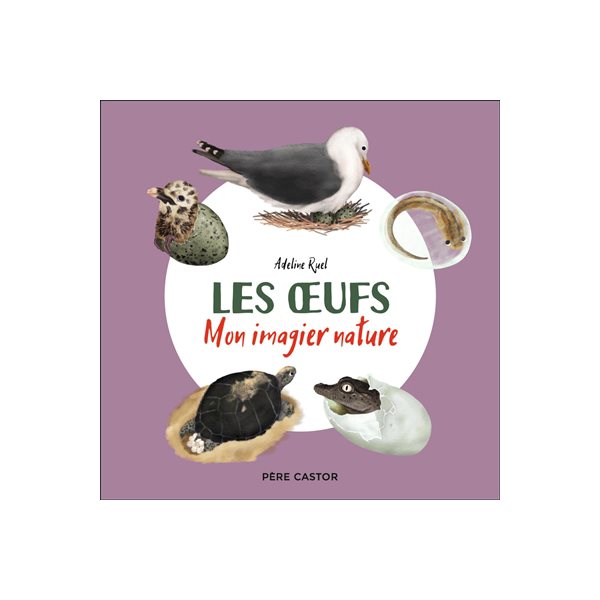 Les oeufs, Mon imagier nature