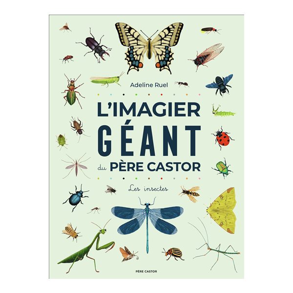 L'imagier géant du Père Castor : les insectes