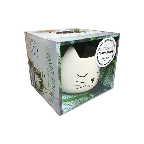 Coffret chat pousse... et chat décore