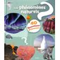 Les phénomènes naturels, 40 questions réponses