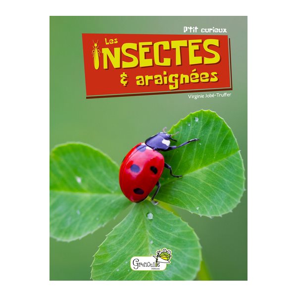 Les insectes & araignées, P'tit curieux