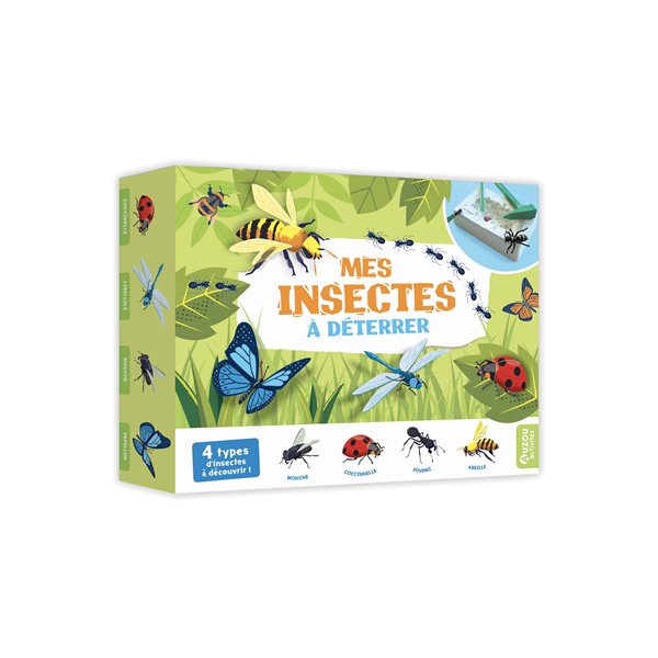 Mes insectes à déterrer