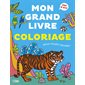 Mon grand livre coloriage pour toute l'année ! : les animaux