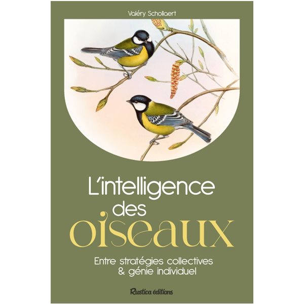 L'intelligence des oiseaux : entre stratégies collectives & génie individuel