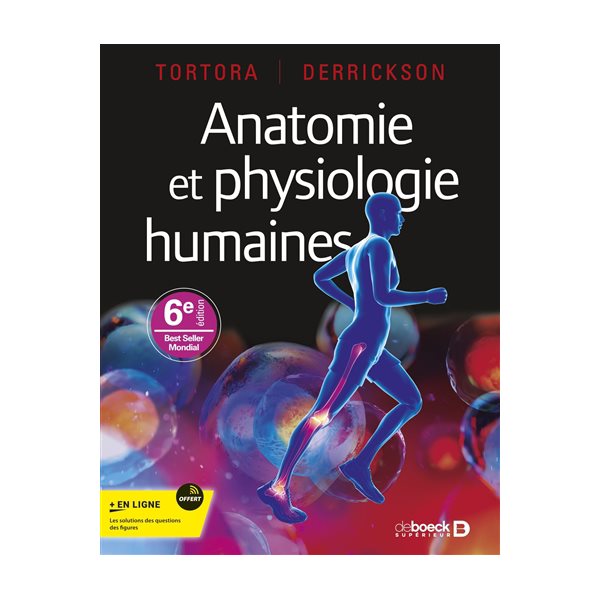 Anatomie et physiologie humaines, Anatomie physiologie