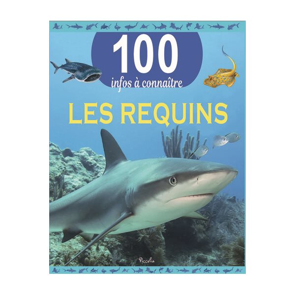 Les requins, 100 infos à connaître