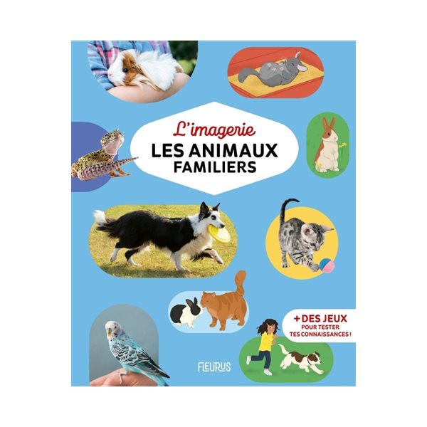 Les animaux familiers, Imagerie...