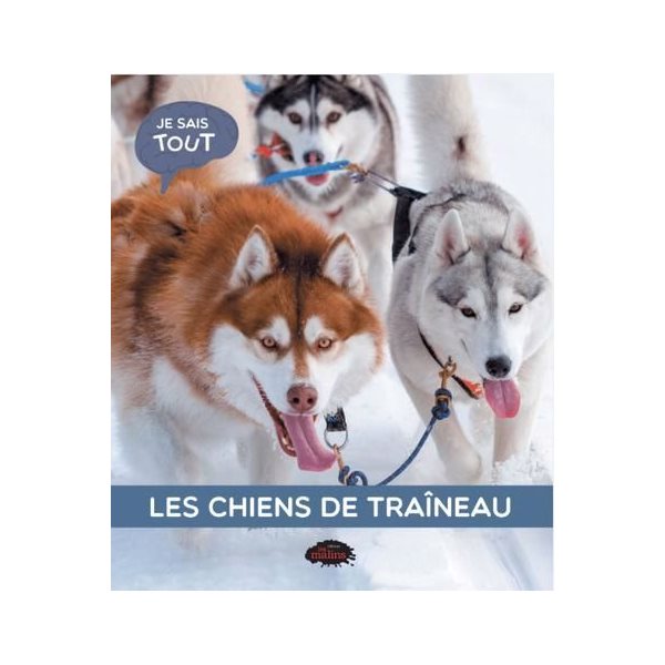 Les chiens de traîneau