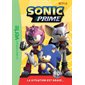 La situation est grave..., Tome 5, Sonic prime