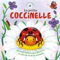 La petite coccinelle : une belle histoire pour découvrir le cycle de vie de la coccinelle, Cycles naturels