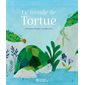 Le monde de Tortue