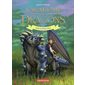 Erin et Brise-Roc, Tome 6, L'académie des dragons