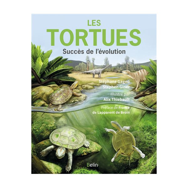 Les tortues : succès de l'évolution