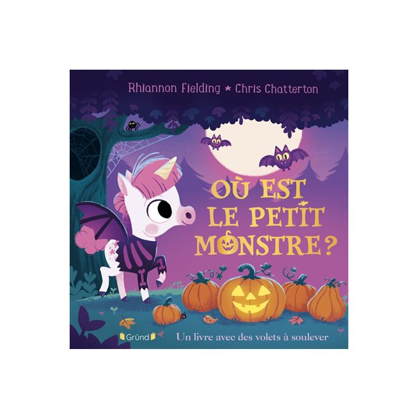 Où est le petit monstre ? : un livre avec des volets à soulever