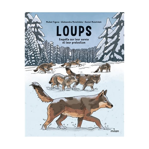 Loups : enquête sur leur survie et leur protection