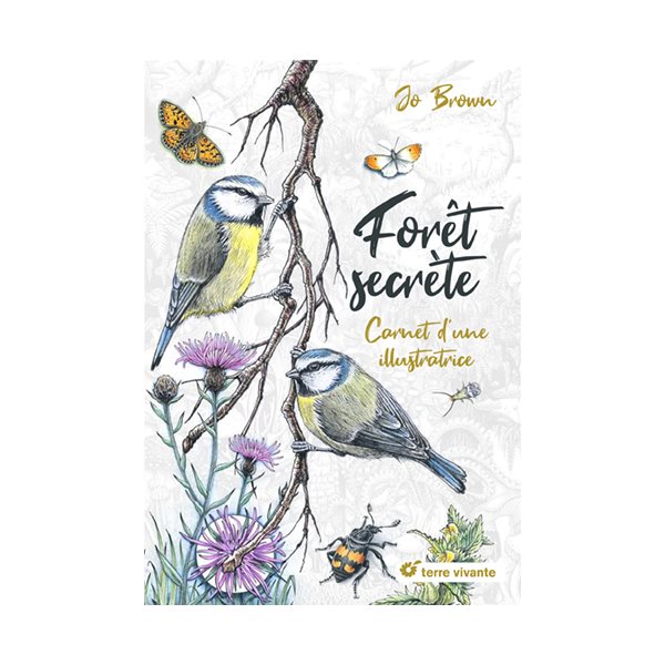 Forêt secrète : carnet d'une illustratrice