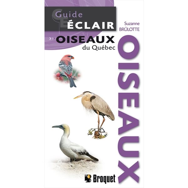 Oiseaux du Québec