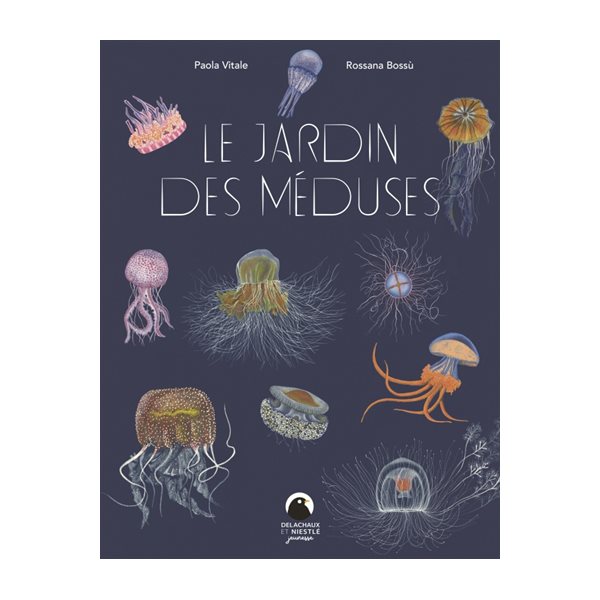 Le jardin des méduses