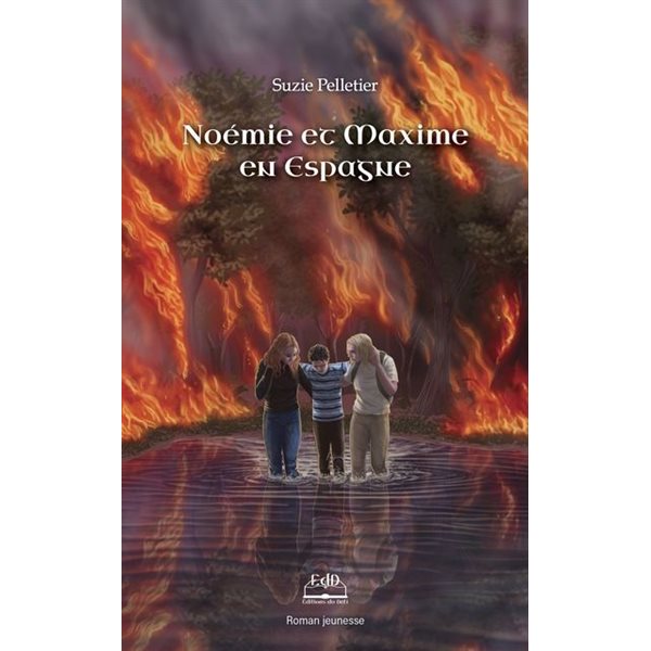 Noémie et Maxime en Espagne, Tome 9, Noémie et Maxime en voyage