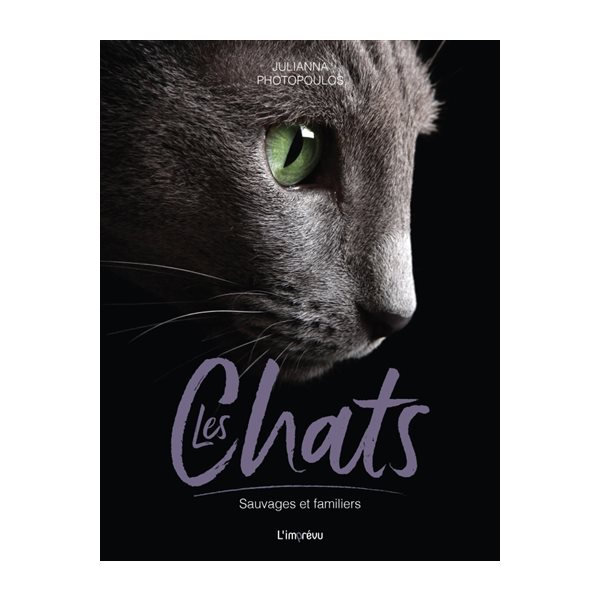 Les chats : sauvages et familiers