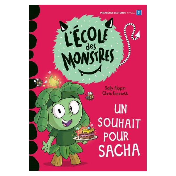 Un souhait pour Sacha : Niveau de lecture 3, Premier Grand roman rouge
