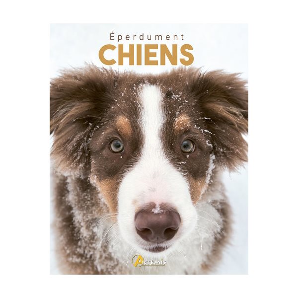 Eperdument chiens