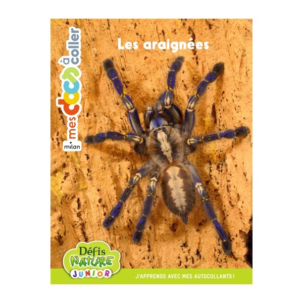Bioviva : Les araignées