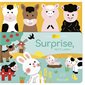 Surprise, petit lapin !, Livre câlin