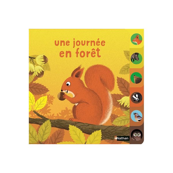 Une journée en forêt