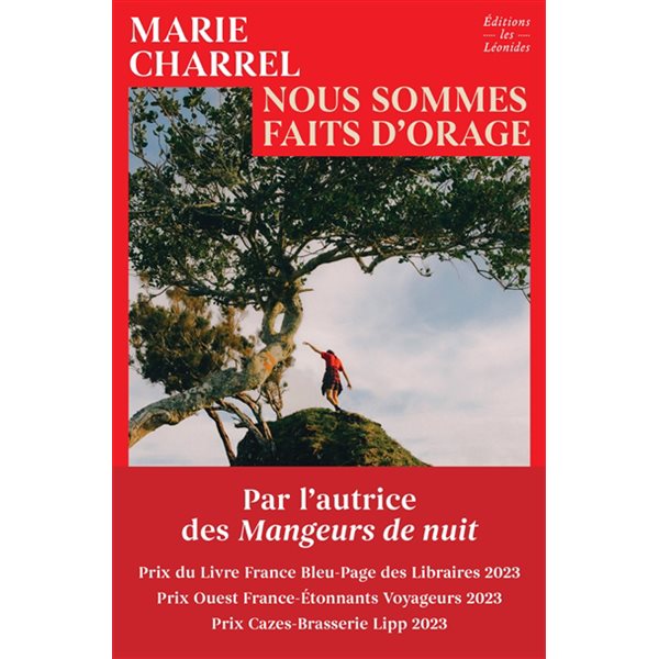 Nous sommes faits d'orage