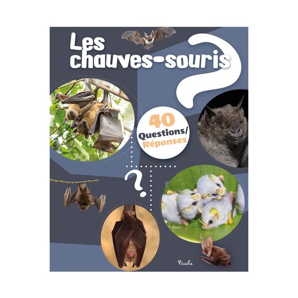 Les chauves-souris, 40 questions réponses