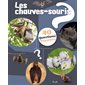 Les chauves-souris, 40 questions réponses