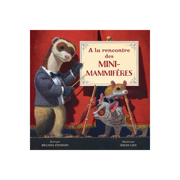 A la rencontre des mini-mammifères